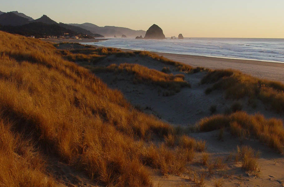 Cannon beach at sunset in the sand dunes